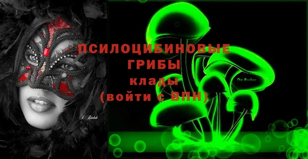 молекула духа Гусев