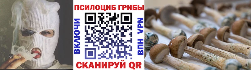 Купить  Белёв  Псилоцибиновые грибы прущие грибы 